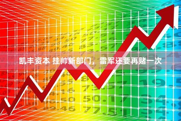 凯丰资本 挂帅新部门，雷军还要再赌一次