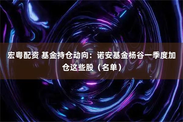 宏粤配资 基金持仓动向：诺安基金杨谷一季度加仓这些股（名单）