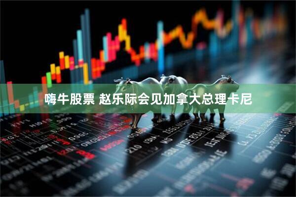 嗨牛股票 赵乐际会见加拿大总理卡尼